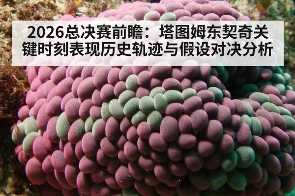 2026总决赛前瞻:塔图姆东契奇关键时刻表现历史轨迹与假设对决分析